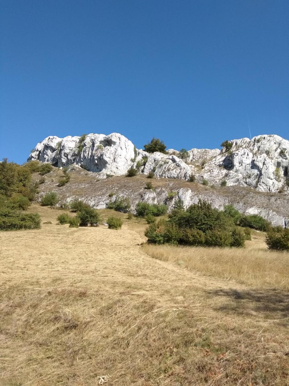 Penzion U Jezu - Ubytovani Pasohlavky Exterior photo